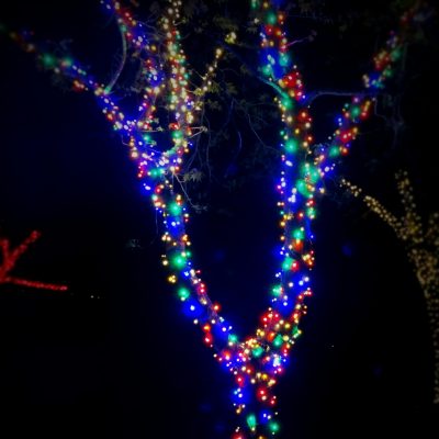 Enderson Multicolored Tree_Fotor