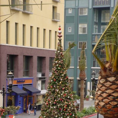 SR 25' Tree